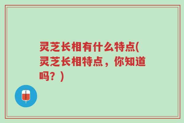 灵芝长相有什么特点(灵芝长相特点,你知道吗?)-第1张图片-超越 灵芝长相有什么特点(灵芝长相特点,你知道吗?)-第1张图片-超越