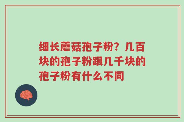 细长蘑菇孢子粉?几百块的孢子粉跟几千块的孢子粉有什么不同-第1张图片-超越 细长蘑菇孢子粉?几百块的孢子粉跟几千块的孢子粉有什么不同-第1张图片-超越