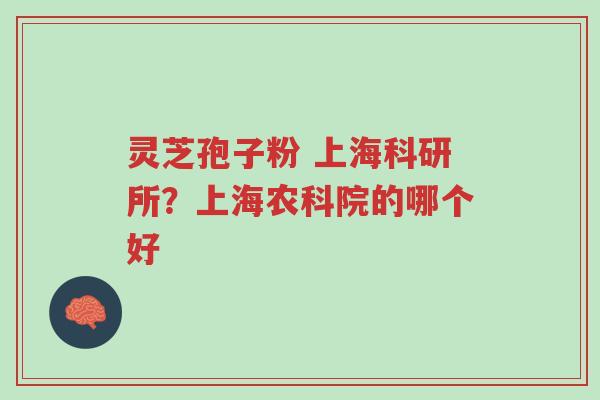 灵芝孢子粉 上海科研所?上海农科院的哪个好-第1张图片-超越 灵芝孢子粉 上海科研所?上海农科院的哪个好-第1张图片-超越