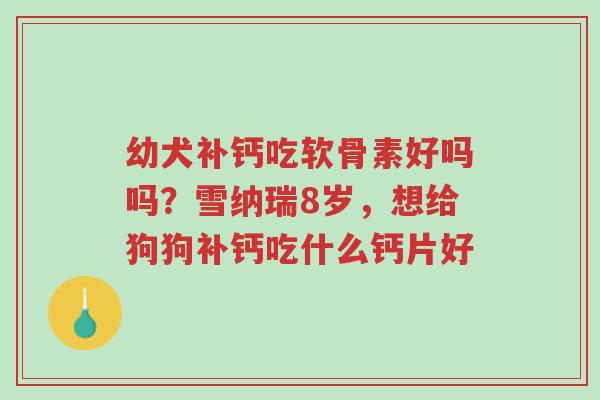 幼犬补钙吃软骨素好吗吗?雪纳瑞8岁,想给狗狗补钙吃什么钙片好-第1张图片-超越 幼犬补钙吃软骨素好吗吗?雪纳瑞8岁,想给狗狗补钙吃什么钙片好-第1张图片-超越