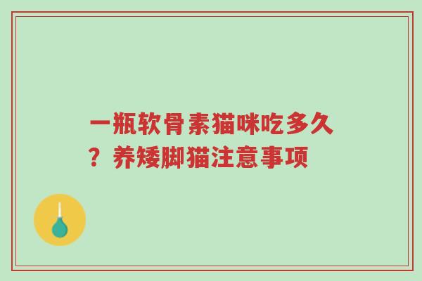 一瓶软骨素猫咪吃多久?养矮脚猫注意事项-第1张图片-超越 一瓶软骨素猫咪吃多久?养矮脚猫注意事项-第1张图片-超越