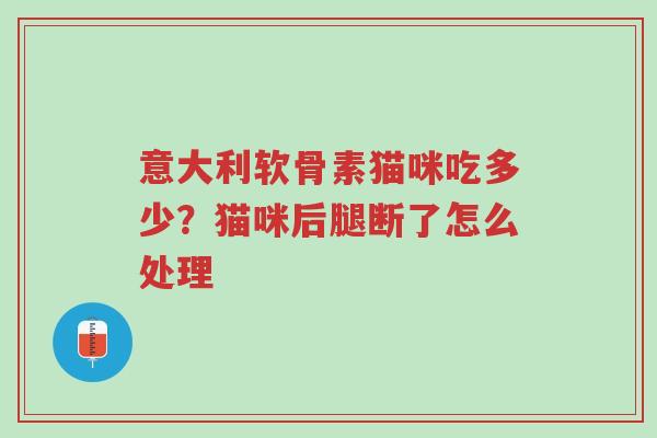 意大利软骨素猫咪吃多少?猫咪后腿断了怎么处理-第1张图片-超越 意大利软骨素猫咪吃多少?猫咪后腿断了怎么处理-第1张图片-超越
