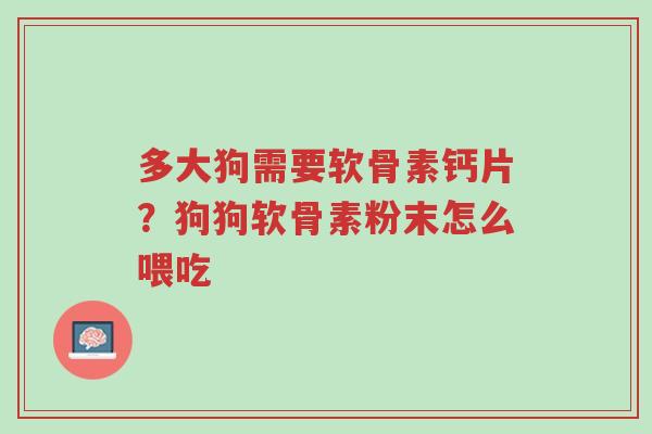 多大狗需要软骨素钙片？狗狗软骨素粉末怎么喂吃-第1张图片-超越