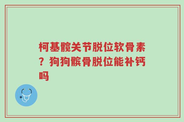 柯基髋关节脱位软骨素?狗狗髌骨脱位能补钙吗-第1张图片-超越 柯基髋关节脱位软骨素?狗狗髌骨脱位能补钙吗-第1张图片-超越