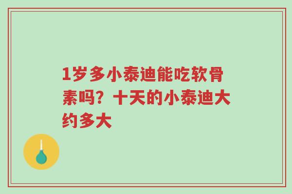 1岁多小泰迪能吃软骨素吗？十天的小泰迪大约多大-第1张图片-超越