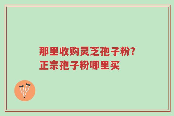 那里收购灵芝孢子粉?正宗孢子粉哪里买-第1张图片-超越 那里收购灵芝孢子粉?正宗孢子粉哪里买-第1张图片-超越