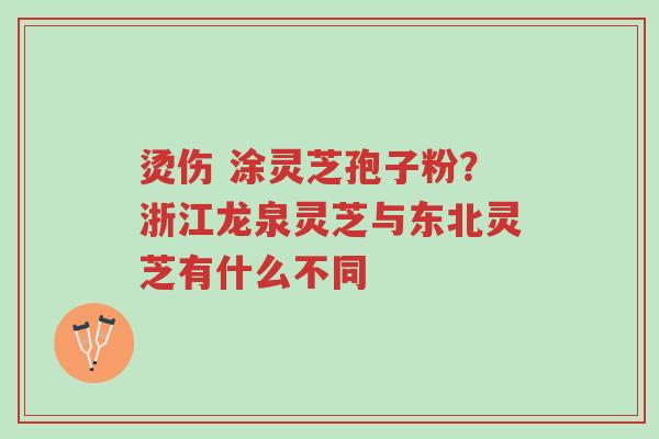 烫伤 涂灵芝孢子粉?浙江龙泉灵芝与东北灵芝有什么不同-第1张图片-超越 烫伤 涂灵芝孢子粉?浙江龙泉灵芝与东北灵芝有什么不同-第1张图片-超越