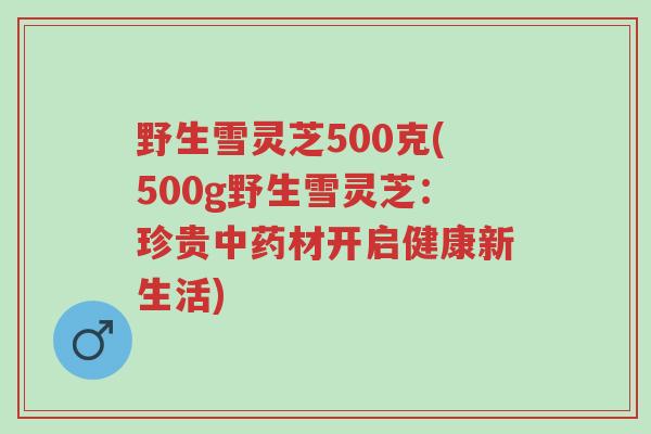 野生雪灵芝500克(500g野生雪灵芝:珍贵中药材开启健康新生活)-第1张图片-超越 野生雪灵芝500克(500g野生雪灵芝:珍贵中药材开启健康新生活)-第1张图片-超越