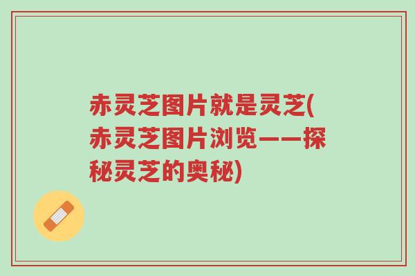 赤灵芝图片就是灵芝(赤灵芝图片浏览——探秘灵芝的奥秘)-第1张图片-超越 赤灵芝图片就是灵芝(赤灵芝图片浏览——探秘灵芝的奥秘)-第1张图片-超越