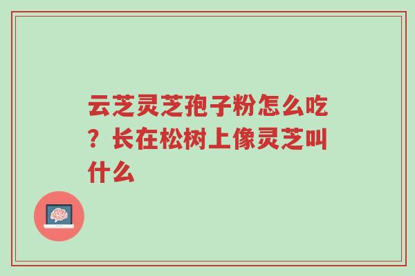 云芝灵芝孢子粉怎么吃?长在松树上像灵芝叫什么-第1张图片-超越 云芝灵芝孢子粉怎么吃?长在松树上像灵芝叫什么-第1张图片-超越