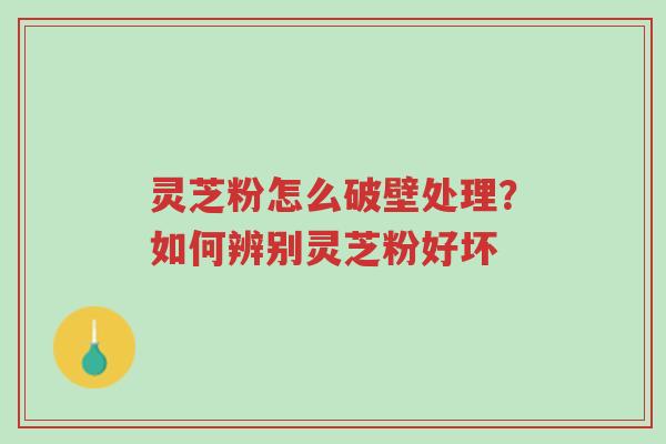 灵芝粉怎么破壁处理？如何辨别灵芝粉好坏-第1张图片-超越