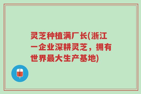 灵芝种植满厂长(浙江一企业深耕灵芝，拥有世界最大生产基地)-第1张图片-超越