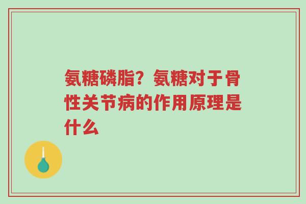 氨糖磷脂?氨糖对于骨性关节病的作用原理是什么-第1张图片-超越 氨糖磷脂?氨糖对于骨性关节病的作用原理是什么-第1张图片-超越