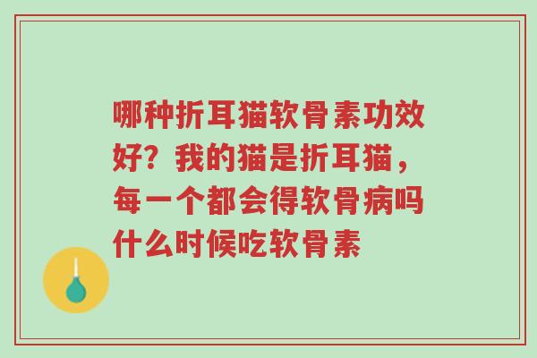 哪种折耳猫软骨素功效好?我的猫是折耳猫,每一个都会得软骨病吗什么时候吃软骨素-第1张图片-超越 哪种折耳猫软骨素功效好?我的猫是折耳猫,每一个都会得软骨病吗什么时候吃软骨素-第1张图片-超越