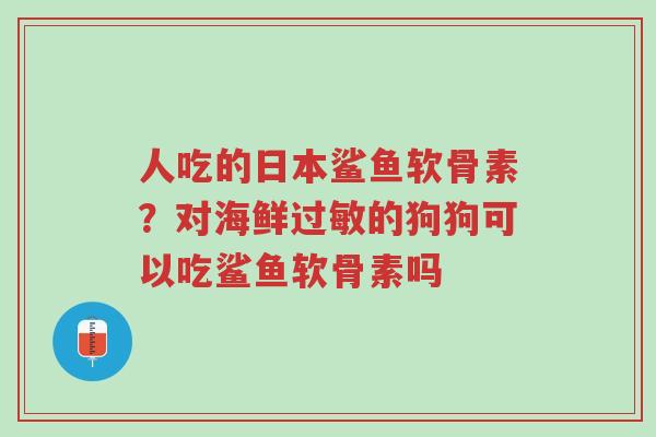 人吃的日本鲨鱼软骨素?对海鲜过敏的狗狗可以吃鲨鱼软骨素吗-第1张图片-超越 人吃的日本鲨鱼软骨素?对海鲜过敏的狗狗可以吃鲨鱼软骨素吗-第1张图片-超越