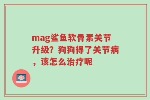 mag鲨鱼软骨素关节升级?狗狗得了关节病,该怎么治疗呢-第1张图片-超越 mag鲨鱼软骨素关节升级?狗狗得了关节病,该怎么治疗呢-第1张图片-超越