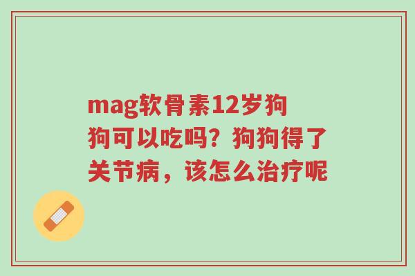 mag软骨素12岁狗狗可以吃吗?狗狗得了关节病,该怎么治疗呢-第1张图片-超越 mag软骨素12岁狗狗可以吃吗?狗狗得了关节病,该怎么治疗呢-第1张图片-超越