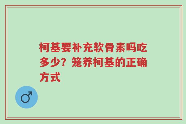 柯基要补充软骨素吗吃多少？笼养柯基的正确方式-第1张图片-超越