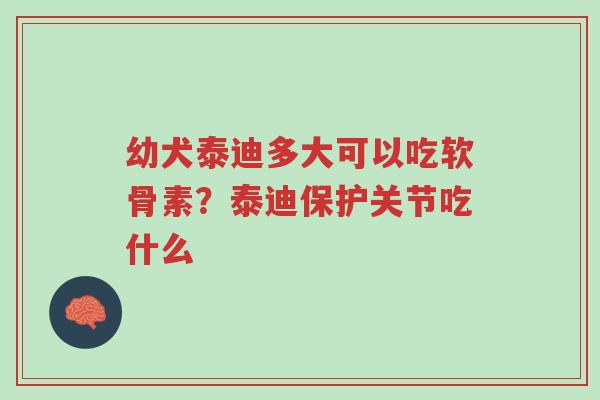 幼犬泰迪多大可以吃软骨素?泰迪保护关节吃什么-第1张图片-超越 幼犬泰迪多大可以吃软骨素?泰迪保护关节吃什么-第1张图片-超越