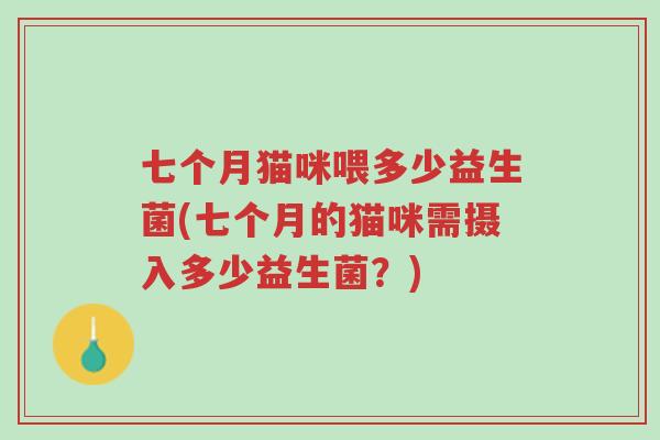 七个月猫咪喂多少益生菌(七个月的猫咪需摄入多少益生菌?)-第1张图片-超越 七个月猫咪喂多少益生菌(七个月的猫咪需摄入多少益生菌?)-第1张图片-超越