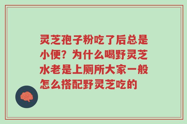 灵芝孢子粉吃了后总是小便?为什么喝野灵芝水老是上厕所大家一般怎么搭配野灵芝吃的-第1张图片-超越 灵芝孢子粉吃了后总是小便?为什么喝野灵芝水老是上厕所大家一般怎么搭配野灵芝吃的-第1张图片-超越