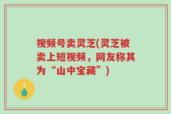 视频号卖灵芝(灵芝被卖上短视频,网友称其为“山中宝藏”)-第1张图片-超越 视频号卖灵芝(灵芝被卖上短视频,网友称其为“山中宝藏”)-第1张图片-超越