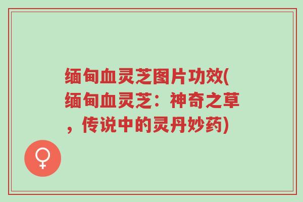 缅甸血灵芝图片功效(缅甸血灵芝:神奇之草,传说中的灵丹妙药)-第1张图片-超越 缅甸血灵芝图片功效(缅甸血灵芝:神奇之草,传说中的灵丹妙药)-第1张图片-超越