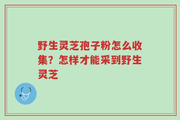野生灵芝孢子粉怎么收集?怎样才能采到野生灵芝-第1张图片-超越 野生灵芝孢子粉怎么收集?怎样才能采到野生灵芝-第1张图片-超越