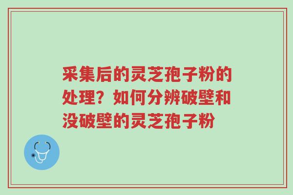 采集后的灵芝孢子粉的处理?如何分辨破壁和没破壁的灵芝孢子粉-第1张图片-超越 采集后的灵芝孢子粉的处理?如何分辨破壁和没破壁的灵芝孢子粉-第1张图片-超越