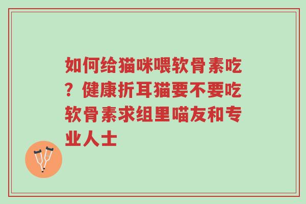 如何给猫咪喂软骨素吃?健康折耳猫要不要吃软骨素求组里喵友和专业人士-第1张图片-超越 如何给猫咪喂软骨素吃?健康折耳猫要不要吃软骨素求组里喵友和专业人士-第1张图片-超越