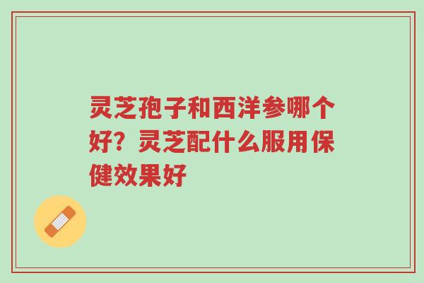 灵芝孢子和西洋参哪个好？灵芝配什么服用保健效果好-第1张图片-超越