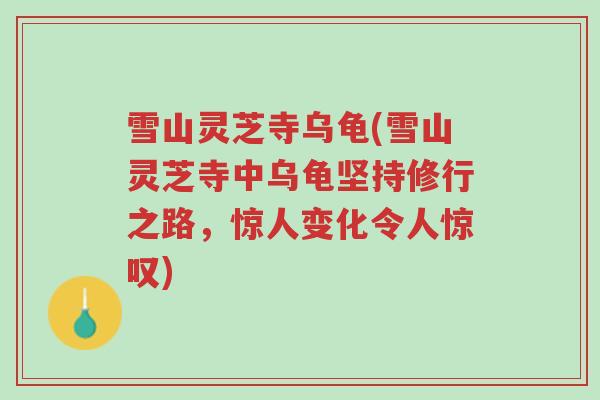 雪山灵芝寺乌龟(雪山灵芝寺中乌龟坚持修行之路,惊人变化令人惊叹)-第1张图片-超越 雪山灵芝寺乌龟(雪山灵芝寺中乌龟坚持修行之路,惊人变化令人惊叹)-第1张图片-超越