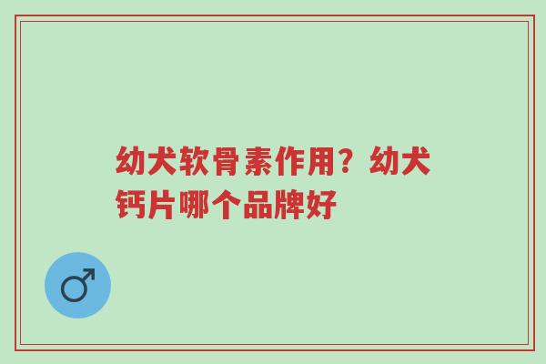幼犬软骨素作用?幼犬钙片哪个品牌好-第1张图片-超越 幼犬软骨素作用?幼犬钙片哪个品牌好-第1张图片-超越