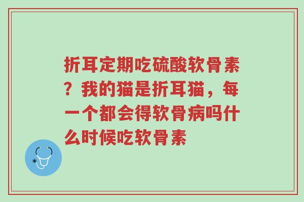 折耳定期吃硫酸软骨素?我的猫是折耳猫,每一个都会得软骨病吗什么时候吃软骨素-第1张图片-超越 折耳定期吃硫酸软骨素?我的猫是折耳猫,每一个都会得软骨病吗什么时候吃软骨素-第1张图片-超越