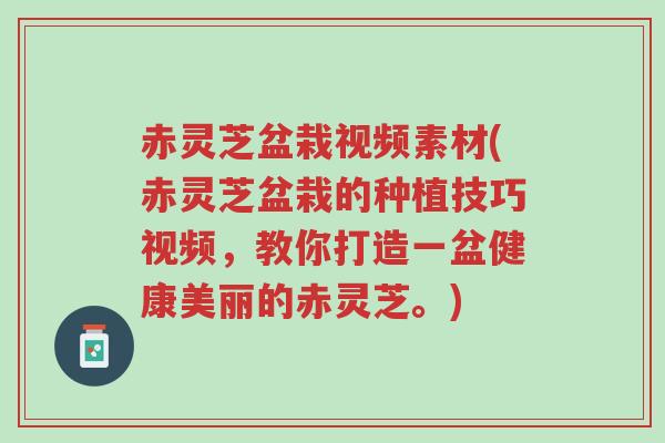 赤灵芝盆栽视频素材(赤灵芝盆栽的种植技巧视频,教你打造一盆健康美丽的赤灵芝。)-第1张图片-超越 赤灵芝盆栽视频素材(赤灵芝盆栽的种植技巧视频,教你打造一盆健康美丽的赤灵芝。)-第1张图片-超越