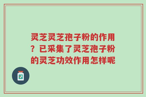 灵芝灵芝孢子粉的作用?已采集了灵芝孢子粉的灵芝功效作用怎样呢-第1张图片-超越 灵芝灵芝孢子粉的作用?已采集了灵芝孢子粉的灵芝功效作用怎样呢-第1张图片-超越