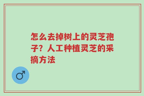 怎么去掉树上的灵芝孢子？人工种植灵芝的采摘方法-第1张图片-超越