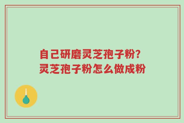 自己研磨灵芝孢子粉?灵芝孢子粉怎么做成粉-第1张图片-超越 自己研磨灵芝孢子粉?灵芝孢子粉怎么做成粉-第1张图片-超越