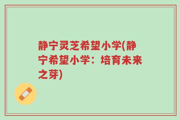 静宁灵芝希望小学(静宁希望小学:培育未来之芽)-第1张图片-超越 静宁灵芝希望小学(静宁希望小学:培育未来之芽)-第1张图片-超越