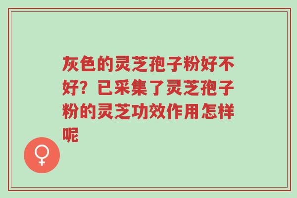 灰色的灵芝孢子粉好不好?已采集了灵芝孢子粉的灵芝功效作用怎样呢-第1张图片-超越 灰色的灵芝孢子粉好不好?已采集了灵芝孢子粉的灵芝功效作用怎样呢-第1张图片-超越