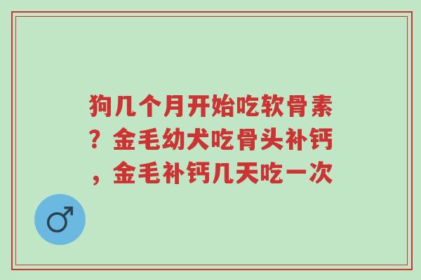 狗几个月开始吃软骨素?金毛幼犬吃骨头补钙,金毛补钙几天吃一次-第1张图片-超越 狗几个月开始吃软骨素?金毛幼犬吃骨头补钙,金毛补钙几天吃一次-第1张图片-超越