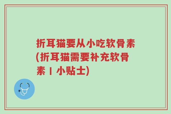 折耳猫要从小吃软骨素(折耳猫需要补充软骨素丨小贴士)-第1张图片-超越 折耳猫要从小吃软骨素(折耳猫需要补充软骨素丨小贴士)-第1张图片-超越