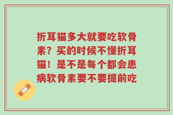 折耳猫多大就要吃软骨素?买的时候不懂折耳猫!是不是每个都会患病软骨素要不要提前吃-第1张图片-超越 折耳猫多大就要吃软骨素?买的时候不懂折耳猫!是不是每个都会患病软骨素要不要提前吃-第1张图片-超越