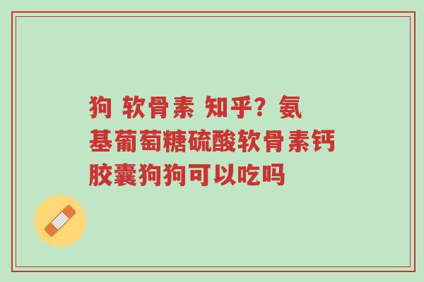 狗 软骨素 知乎?氨基葡萄糖硫酸软骨素钙胶囊狗狗可以吃吗-第1张图片-超越 狗 软骨素 知乎?氨基葡萄糖硫酸软骨素钙胶囊狗狗可以吃吗-第1张图片-超越