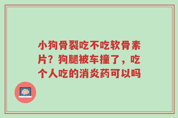 小狗骨裂吃不吃软骨素片?狗腿被车撞了,吃个人吃的消炎药可以吗-第1张图片-超越 小狗骨裂吃不吃软骨素片?狗腿被车撞了,吃个人吃的消炎药可以吗-第1张图片-超越