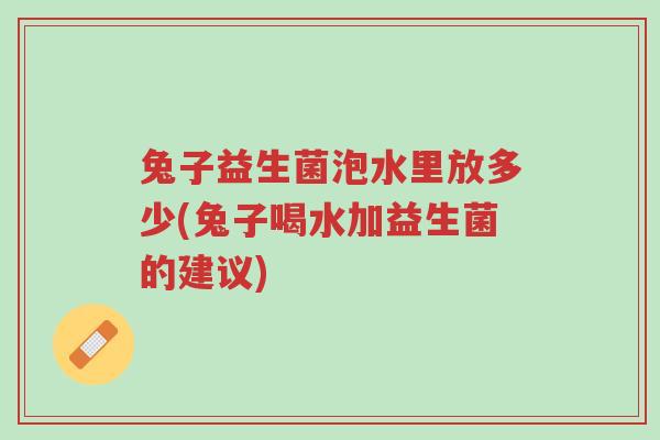 兔子益生菌泡水里放多少(兔子喝水加益生菌的建议)-第1张图片-超越 兔子益生菌泡水里放多少(兔子喝水加益生菌的建议)-第1张图片-超越
