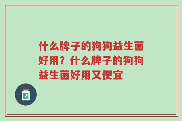 什么牌子的狗狗益生菌好用?什么牌子的狗狗益生菌好用又便宜-第1张图片-超越 什么牌子的狗狗益生菌好用?什么牌子的狗狗益生菌好用又便宜-第1张图片-超越