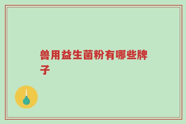 兽用益生菌粉有哪些牌子-第1张图片-超越 兽用益生菌粉有哪些牌子-第1张图片-超越