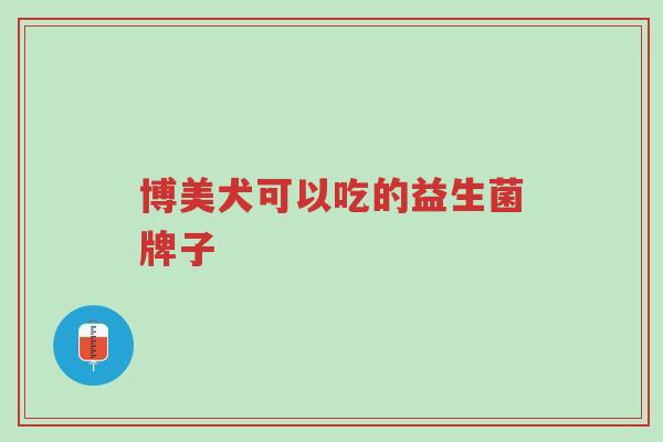 博美犬可以吃的益生菌牌子-第1张图片-超越 博美犬可以吃的益生菌牌子-第1张图片-超越