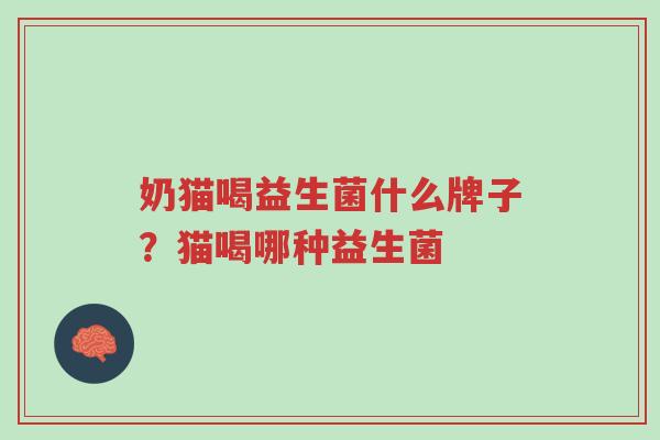奶猫喝益生菌什么牌子?猫喝哪种益生菌-第1张图片-超越 奶猫喝益生菌什么牌子?猫喝哪种益生菌-第1张图片-超越